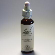 12 Gentian- Gentiaan 20ml