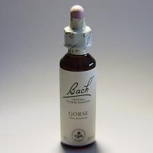 13 Gorse- Gaspeldoorn 20ml