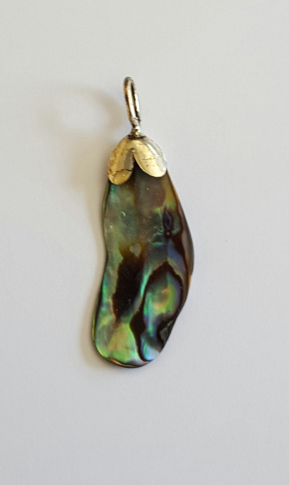 Abalone Paua